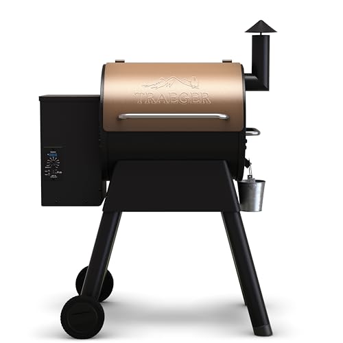 Traeger Wood Pellet Grill & Smoker