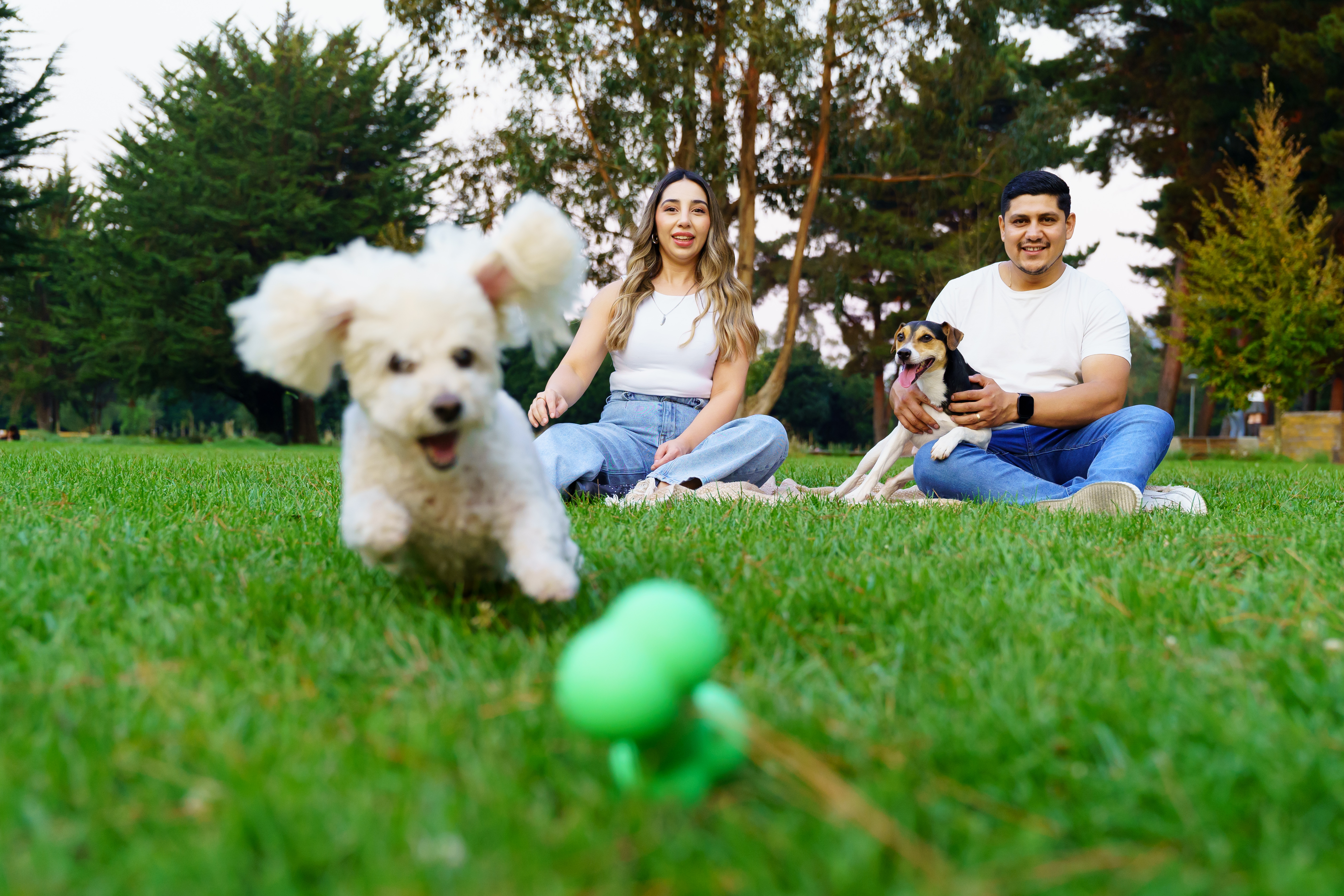 Gift Guide for a Loving Pet Parent
