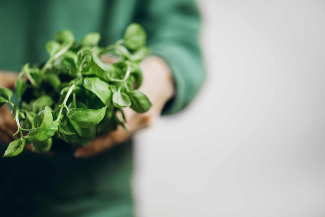 Gardyn Amazon Prime Day Sale