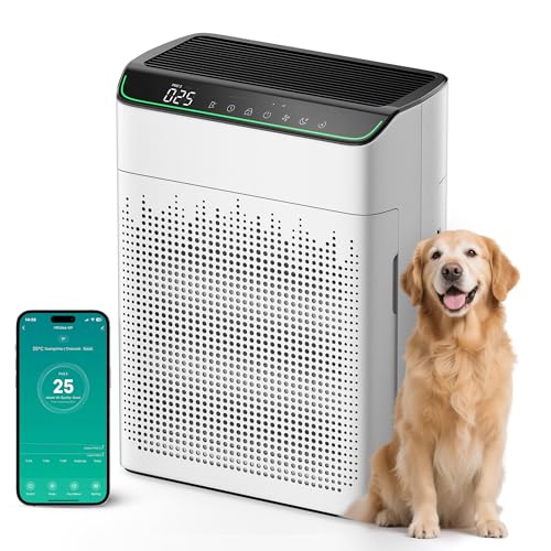 Air Purifiers for Up to 1,690 square feet