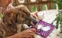 Woman preparing a food-licking toy for her dog with yogurt at home