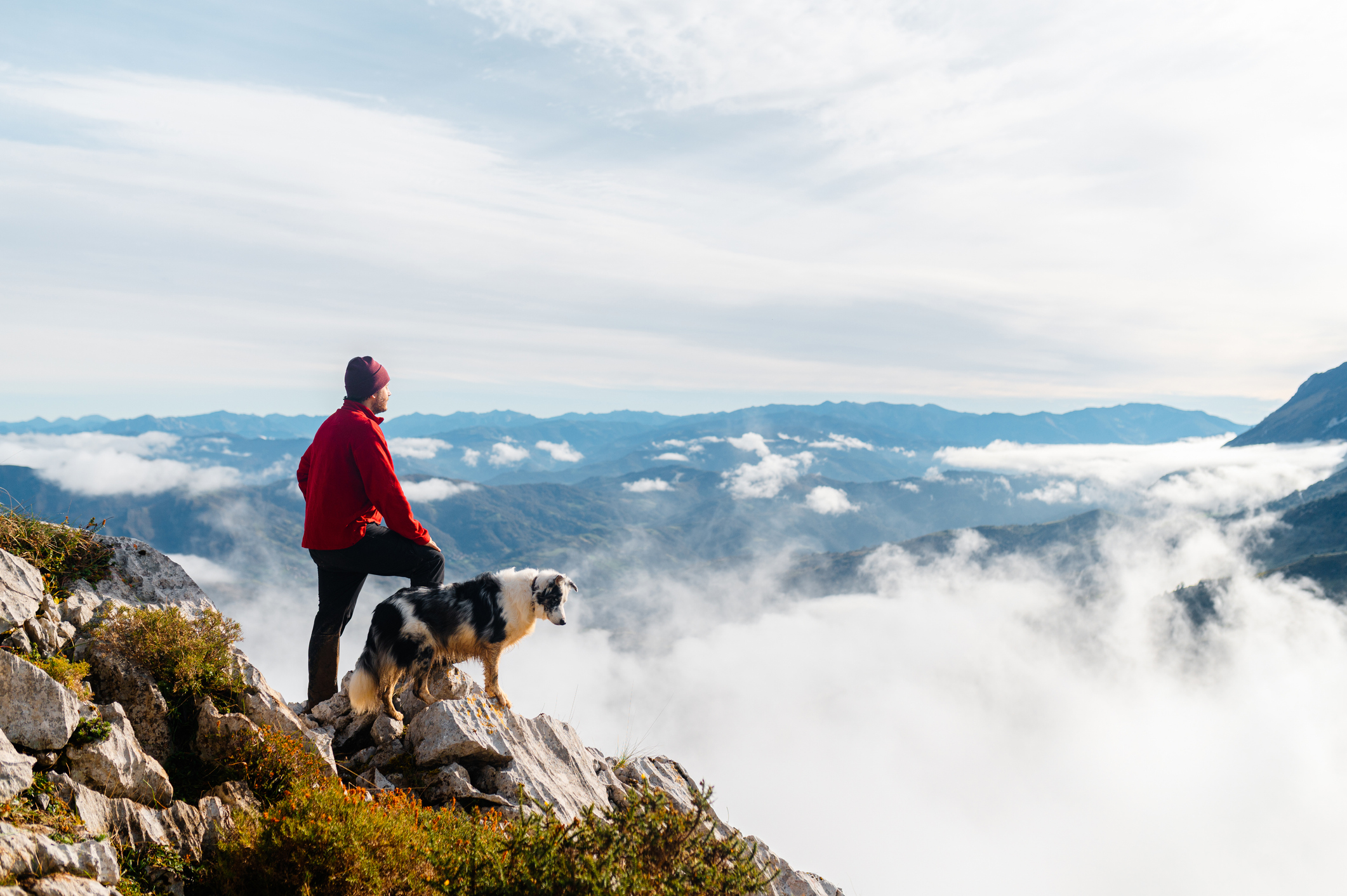 Man and his dog enjoying the stunning view of a mountain range above a sea of clouds