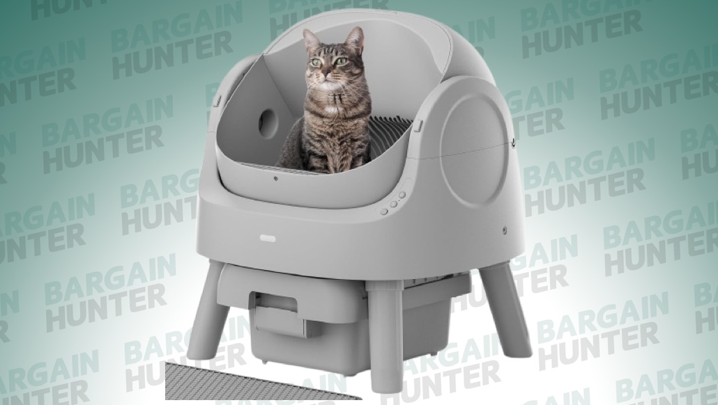 Self-Cleaning Litter Box