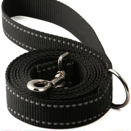 6FT Reflective Dog Leash