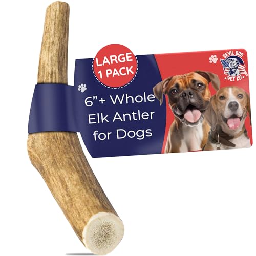Elk Antlers for Dogs, 6″ – Healthy, No Odor, Durable Chew