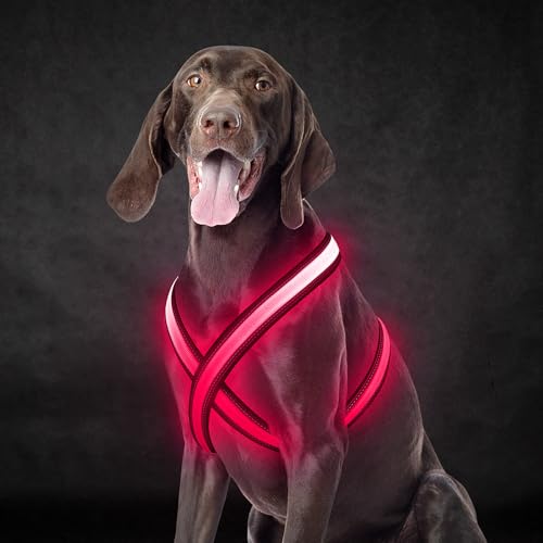 Light Up Dog Harness, Rechargeable LED