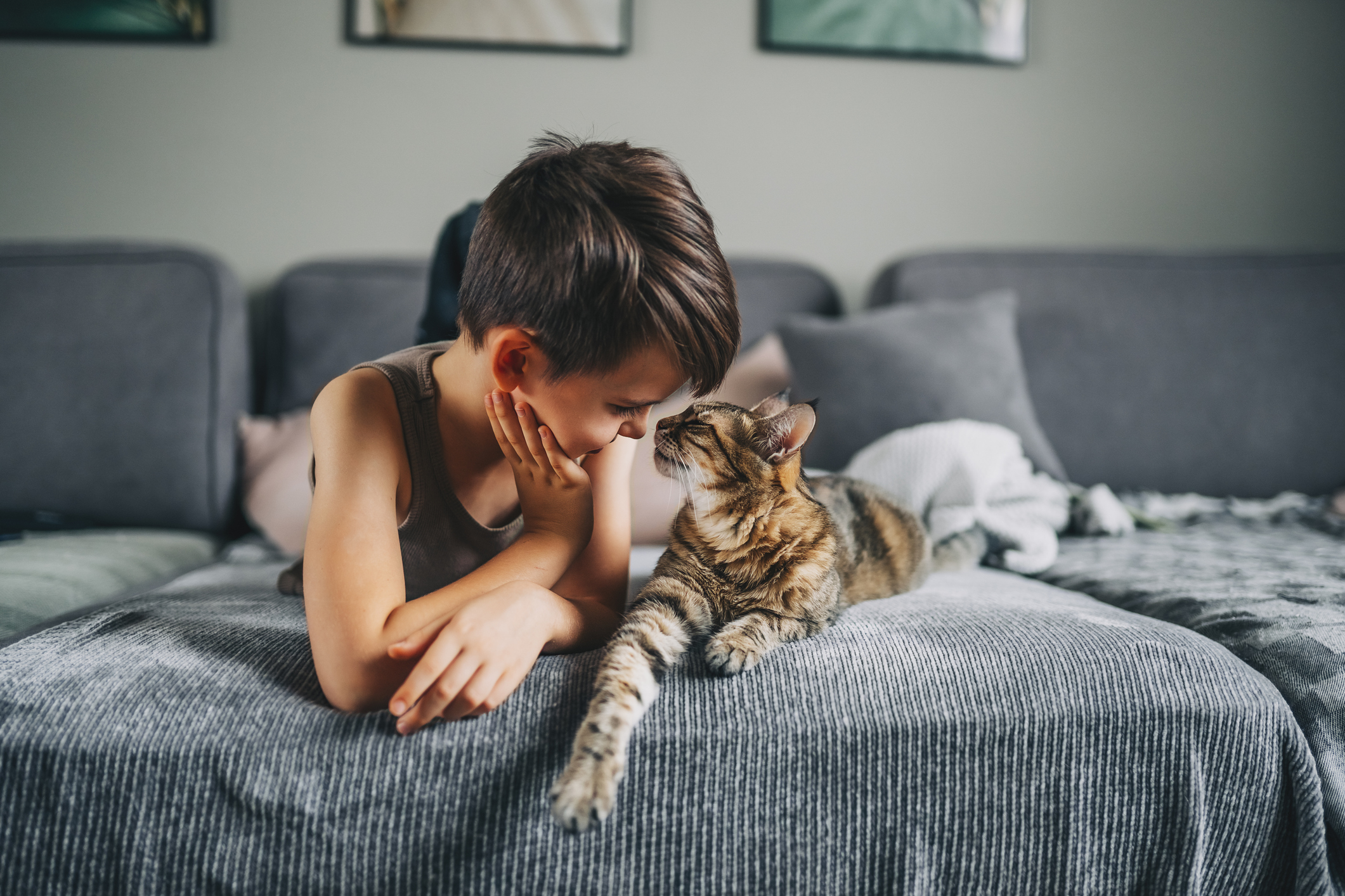 Little kid boy with his cat pet on the couch. Children and love pets concept. Friendship with animals