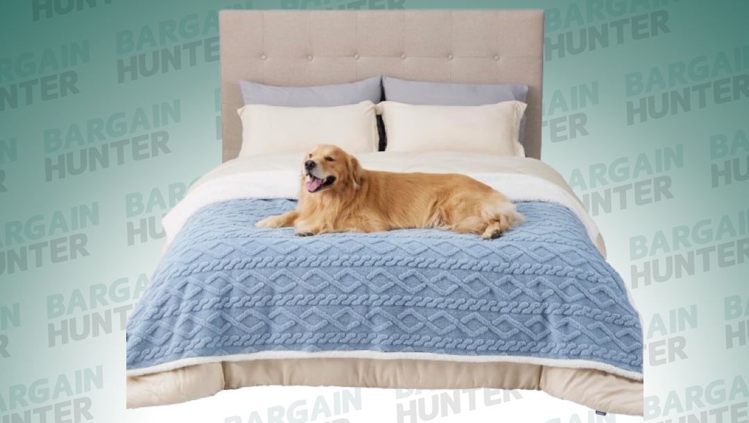 Dog on a Bedsure pet blanket on BH background