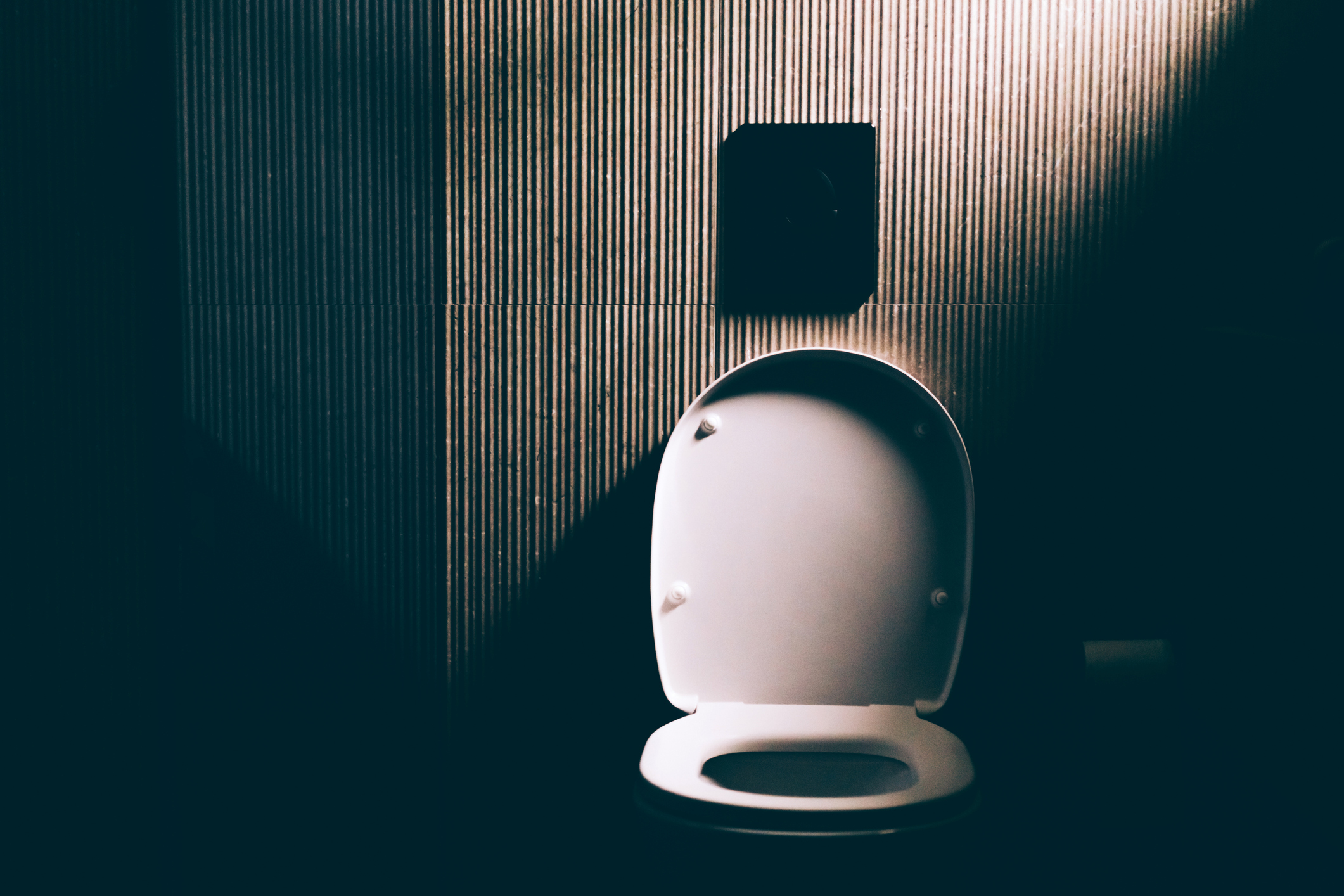 Minimalist bathroom showcasing a toilet in soft light, emphasizing modern design and simplicity of function.