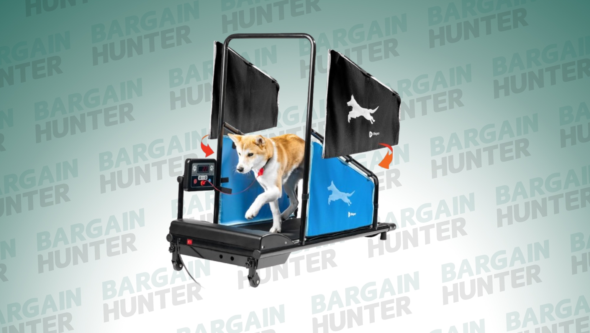 Dog on treadmill on BH background