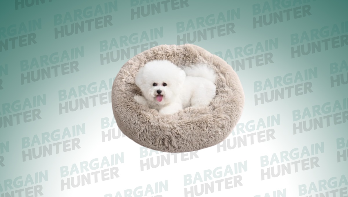 Dog on Juicy Couture bed on BH background