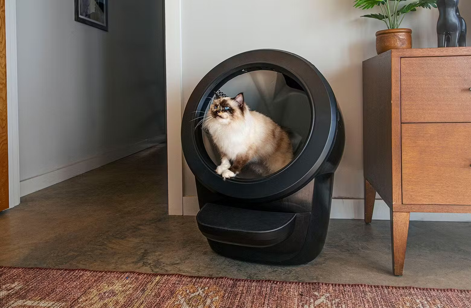 Litter-Robot Bundles For Labor Day