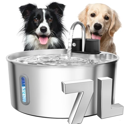Dog Water Fountain for Large Dogs, 7L/1.8Gal