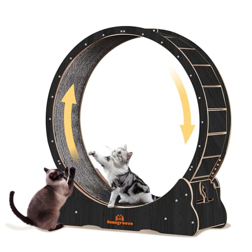 Homegroove Cat Wheels for Indoor Cats