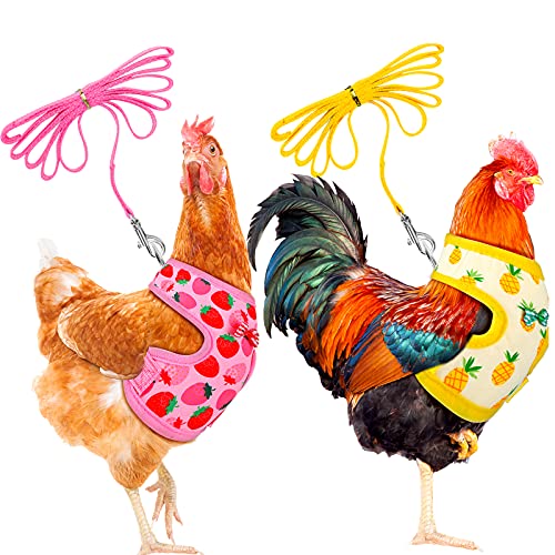 Frienda Adjustable Chicken Harness and Leash