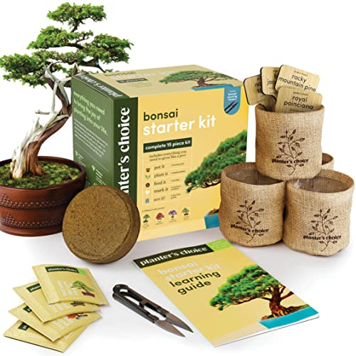 Bonsai Starter Kit – Gardening Gift for Women & Men