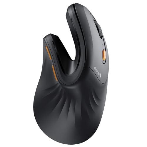 ProtoArc Ergonomic Mouse