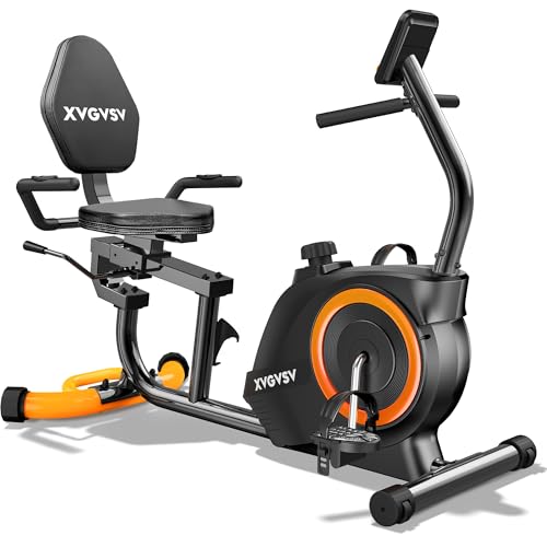 Recumbent Exercise Bike for Home Use, Quiet, for Adults & Seniors, 16-Level Resistance, Adjustable Seat