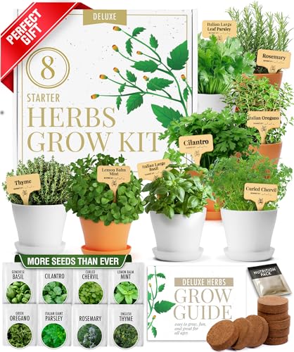 HOME GROWN Gift Herb Kit – 8 Herb Seeds Set with Basil, Cilantro, Mint & More