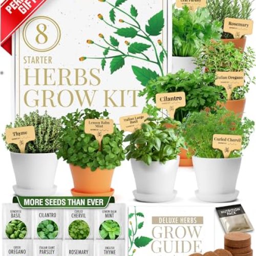 HOME GROWN Gift Herb Kit – 8 Herb Seeds Set with Basil, Cilantro, Mint & More