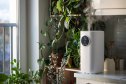 Modern humidifier at home, moistens dry air surrounded by indoor plant. Humidification concept