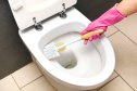 Cleaning toilet with toilet brush