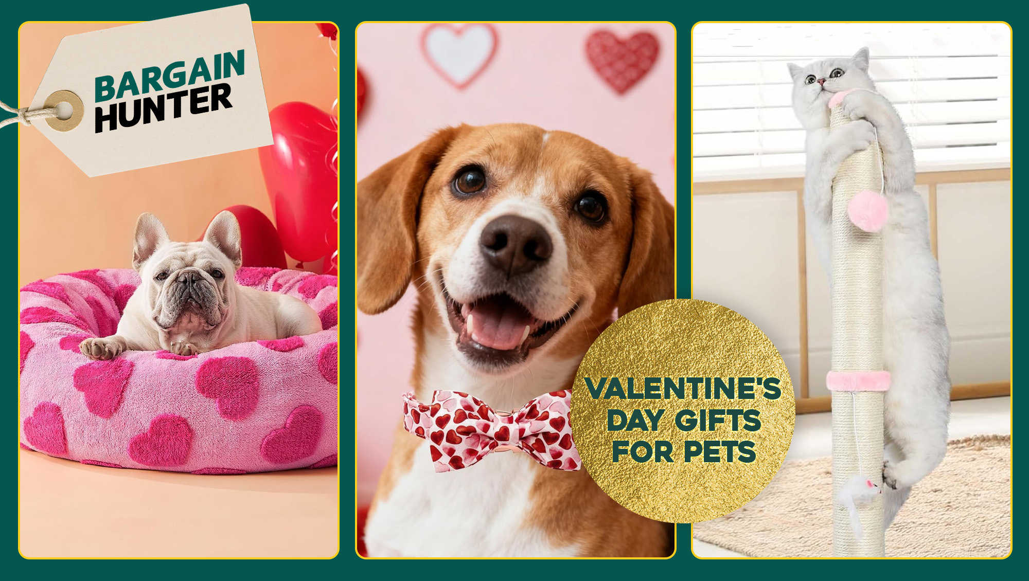 Valentine's Day Gifts for Pets