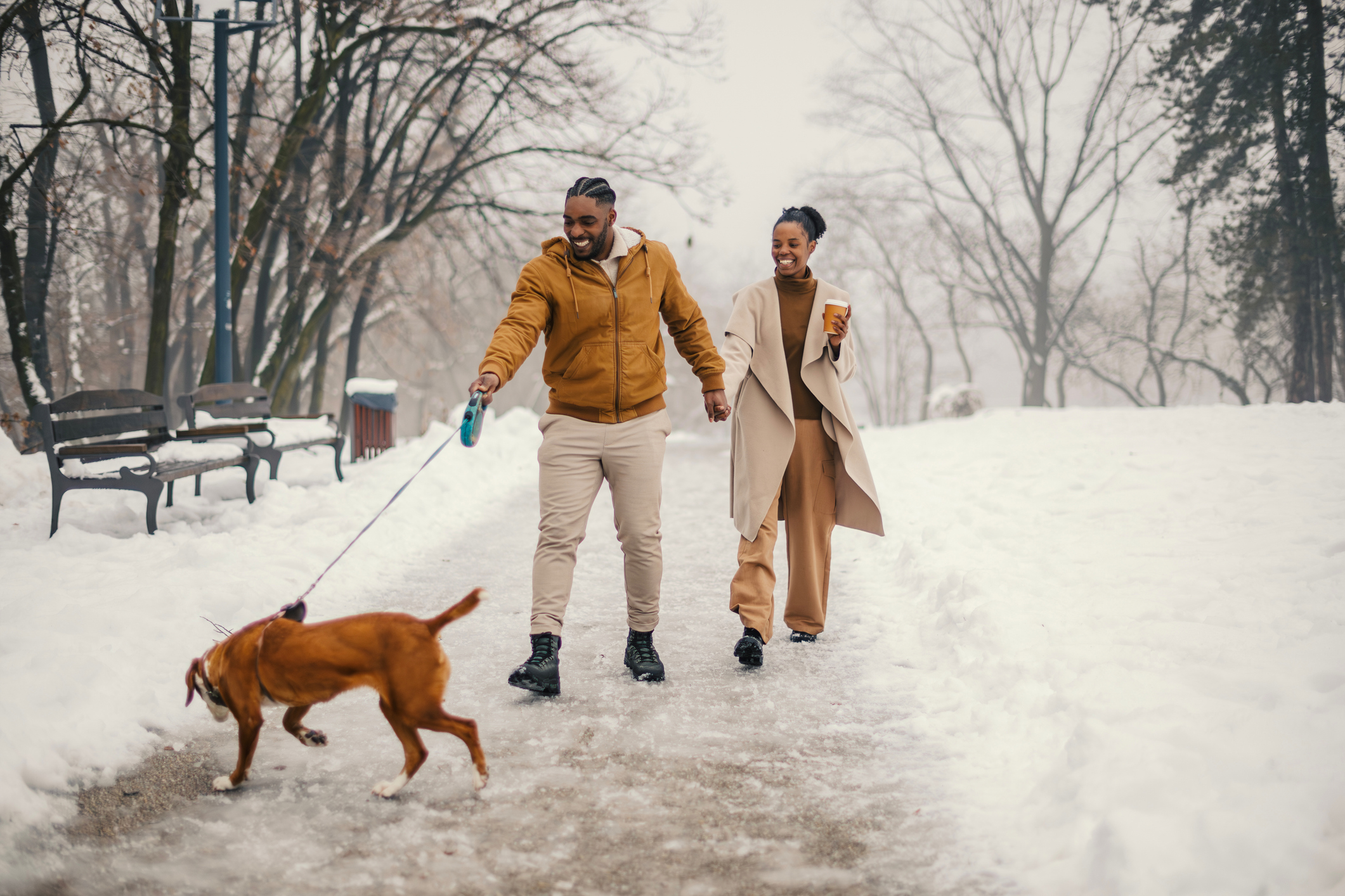 Couple smiling and holding hands while walking their boxer dog along a snow-covered park path, enjoying a cozy winter stroll together outdoors