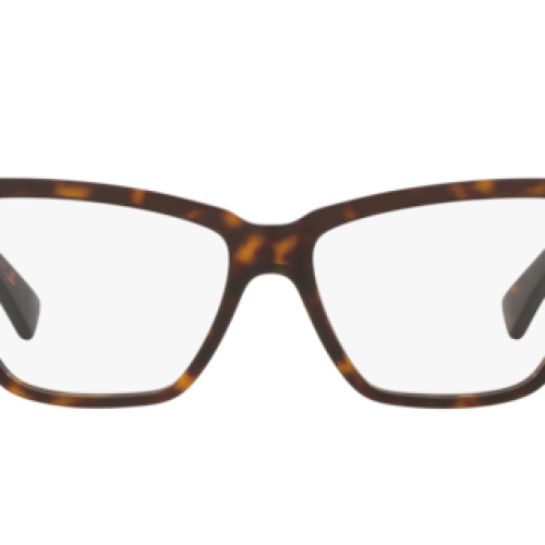 Bottega Veneta Woman Tortoise