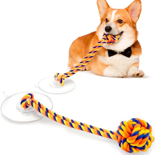 Medium Dog Toy: Interactive Sticky Suction Cup Tug