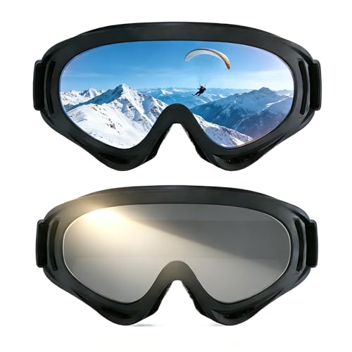 2pack Ski Goggles Snowboard Goggles