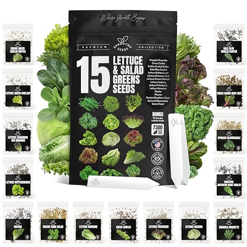 Lettuce & Salad Greens Seeds Variety Pack Non-GMO Heirloom Seeds