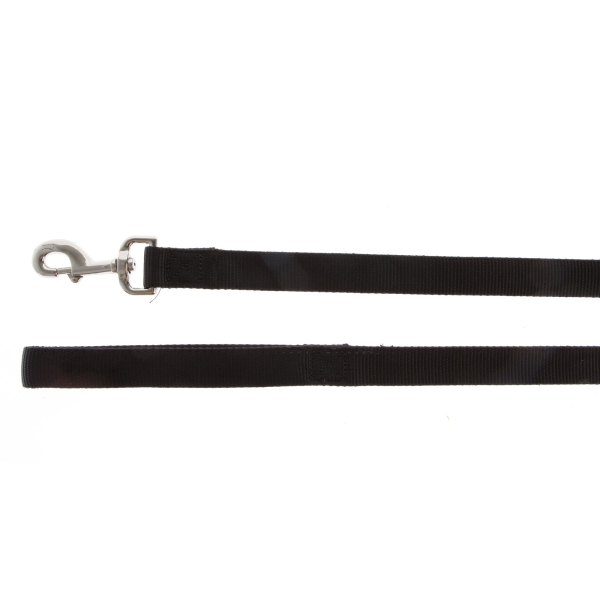 Top Paw Dog Leash: long, in | PetSmart