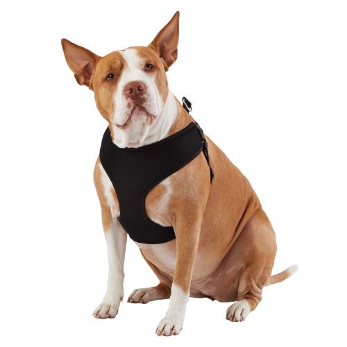 Dog Harness in Pink, Size: Small | PetSmart
