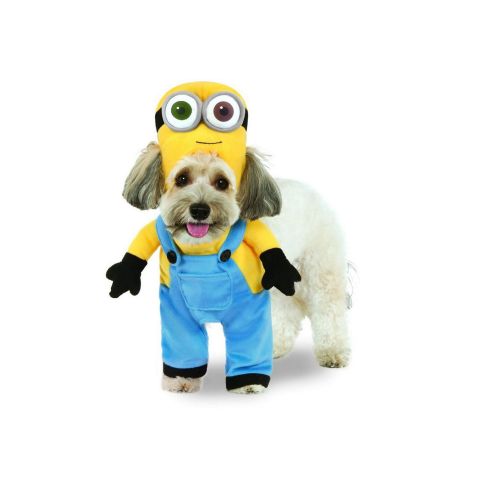 Rubies Rubies Pet Shop Halloween Wizard Of oz Dog And Cat Costume in Size: | Polyester PetSmart