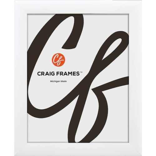 Craig Frames Contemporary White Satin Picture Frame | x | Michaels
