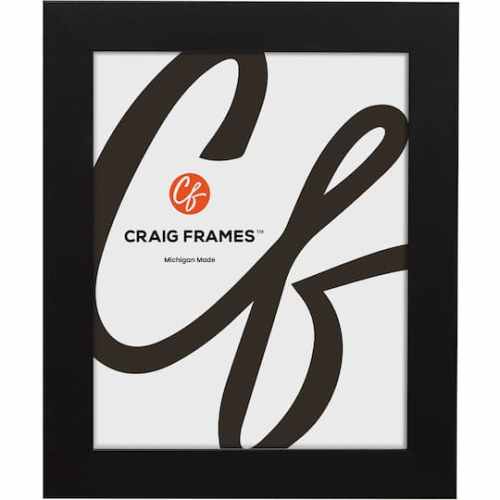 Craig Frames Upscale Satin Black Picture Frame | x | Michaels