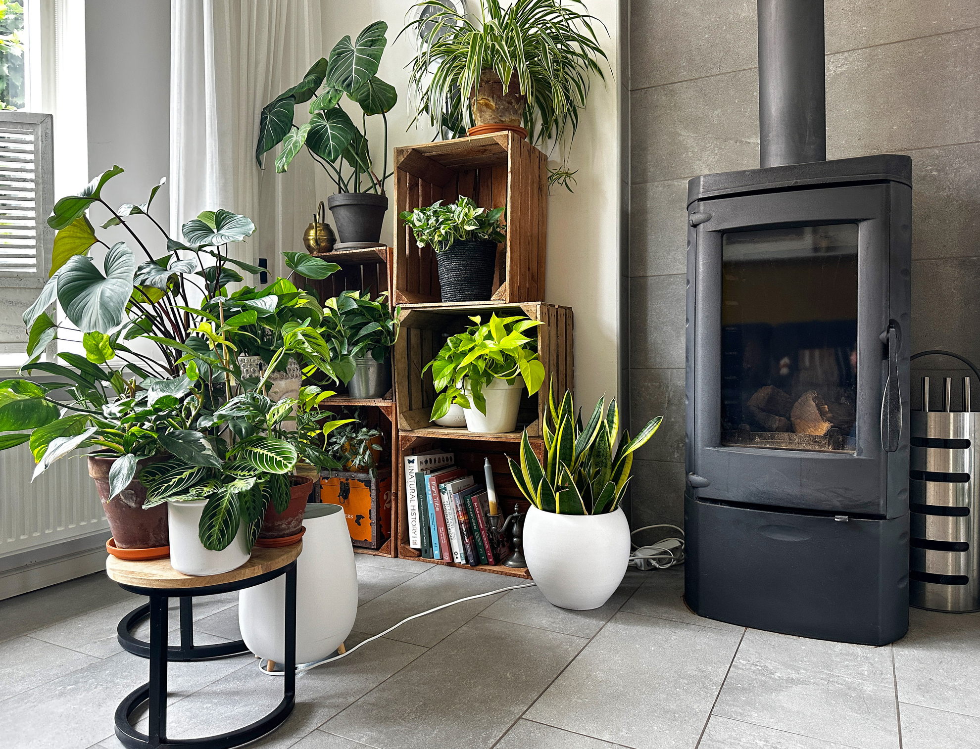 Wooden rustic shelves crates are used for shelves for books and flowers. The Lula's Garden discount code could get you a space like this in minutes!