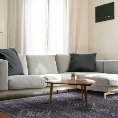 5 x 7 Area Rug