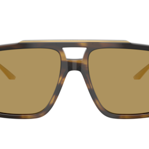 Dolce&Gabbana Man Striped Ochre