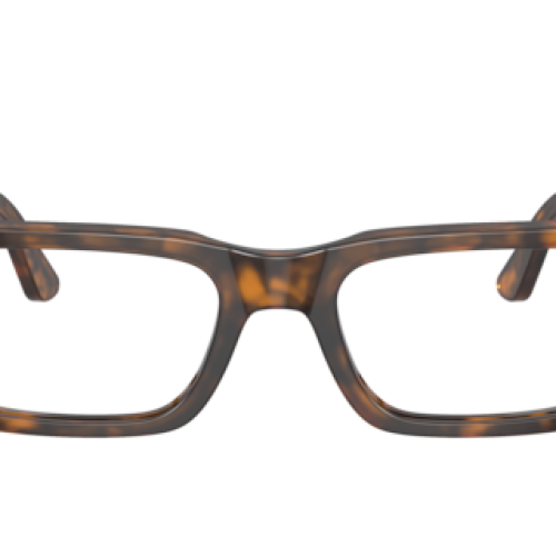 Persol Unisex Red Havana