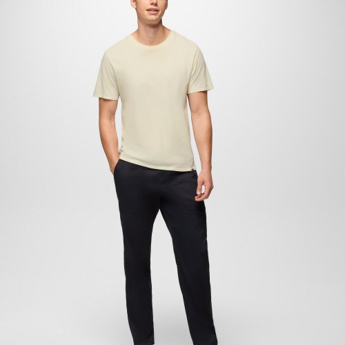 Mens prAna Stretch Zion Field Pant