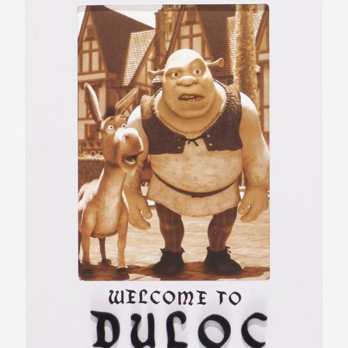 DreamWorks Shrek Duloc Picture Frame BoxLunch Exclusive
