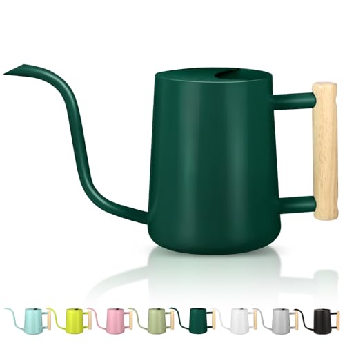Watering Can Indoor Plants, 35oz