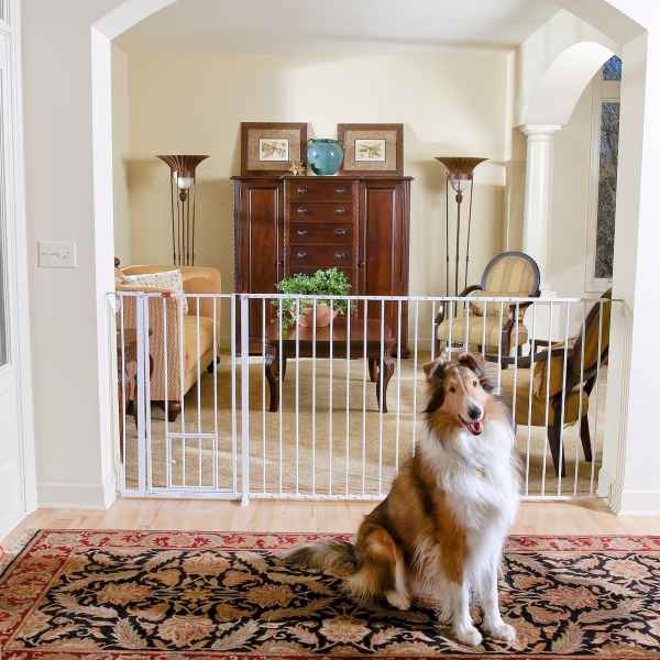 Carlson Pet Products Carlson; Extra Tall Walk-Thru Gate | PetSmart