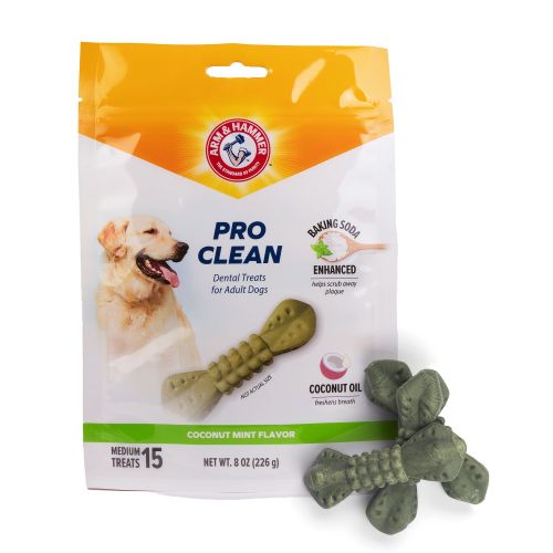 Arm & Hammer Pro Clean Dental Kit in Red, Size: 8 oz | PetSmart