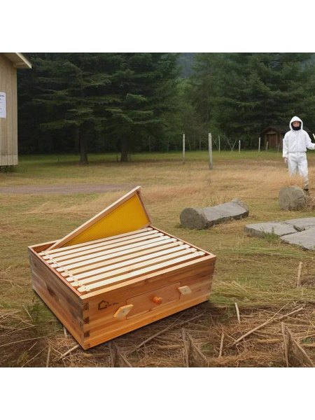 Garvee 10 Frame Wax Coated Bee Hives Medium Super Box Langstoth Honey Super Bee Box With Acrylic Window Dipped In Beeswax Includes Beehive Frames And