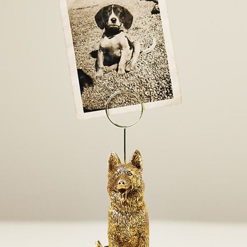 The Animal Icon Photo Holder: Dog Edition