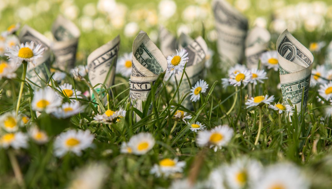 50+ Deals to Shop Ahead of Amazon's Big Spring Sale - Bargain Hunter