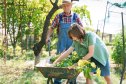 An older and a younger person collaborate while collecting garden waste and greenery, showcasing cooperation and outdoor lifestyle.